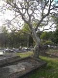 Balmoral (section 20) Cemetery, Brisbane